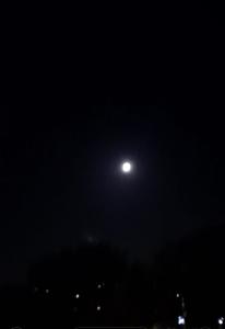 Jacquelien 05 - 16 April volle maan